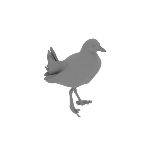 Australian crake.stl