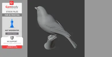 3D model of an Australian golden whistler bird perched on a small stand, shown in profile.