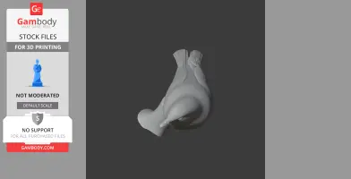 3D model of a bird, viewed from above, with detailed feathers designed for printing.