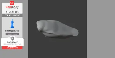 A smooth, abstract gray 3D model with a rounded, curved shape suitable for printing.
