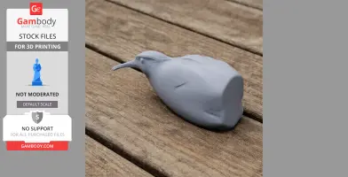 Gray 3D model of an Australian painted-snipe on a wooden surface.