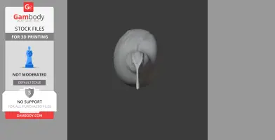 A 3D model of a bird's head viewed from the front, emphasizing its long beak and rounded features.