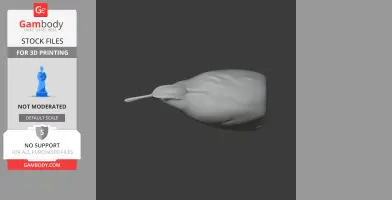 3D model of an Australian painted-snipe, showing its long beak and rounded body.