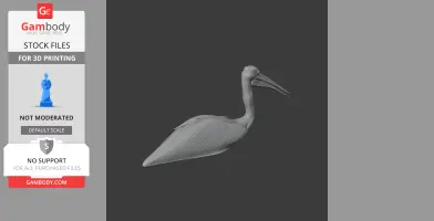 Gray 3D model of an Australian pelican with elongated neck and beak, viewed from side.
