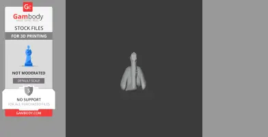 3D model of an Australian pelican with a long beak, viewed from the front.