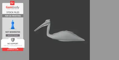 A 3D model of an Australian pelican in profile view, designed for 3D printing.
