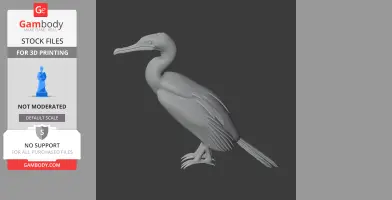 A 3D model of an Australian pied cormorant, shown in a standing pose with detailed feathers.