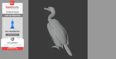 A 3D model of an Australian pied cormorant, shown in a neutral gray color, standing upright.