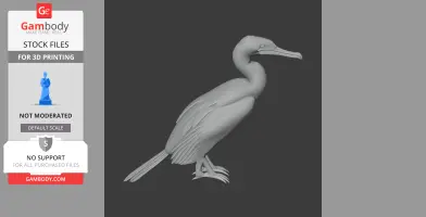 3D model of an Australian pied cormorant, detailed for 3D printing.