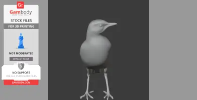 A 3D model of an Australian pipit bird, posed upright with detailed legs and beak.