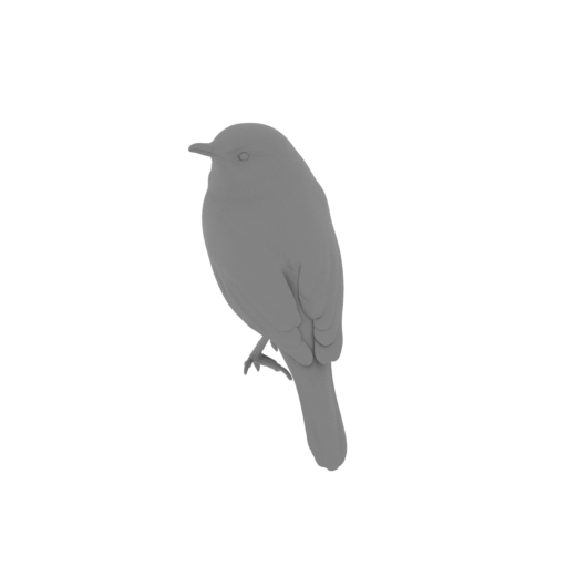 Australian reed warbler.3mf