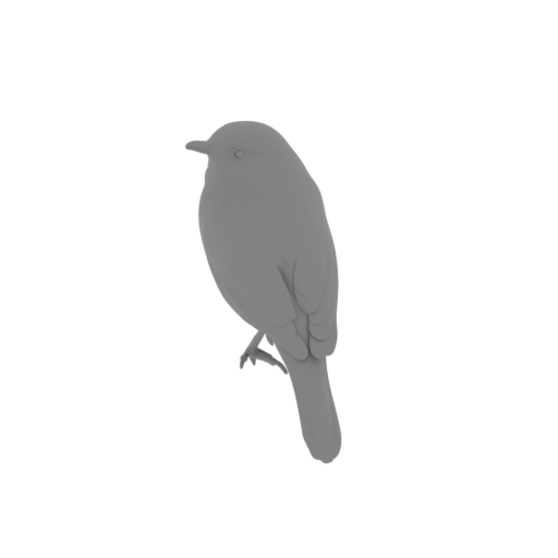 Australian reed warbler.stl