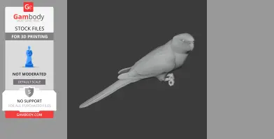 A 3D model of an Australian ringneck parrot, detailed for 3D printing.