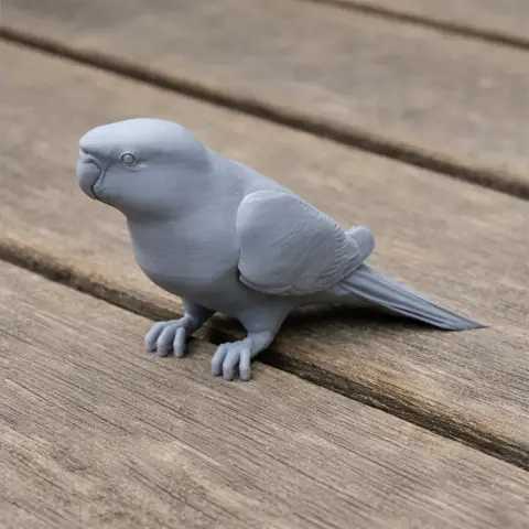 3D printed model of an Australian ringneck parrot, matte gray, detailed feathers and stance.