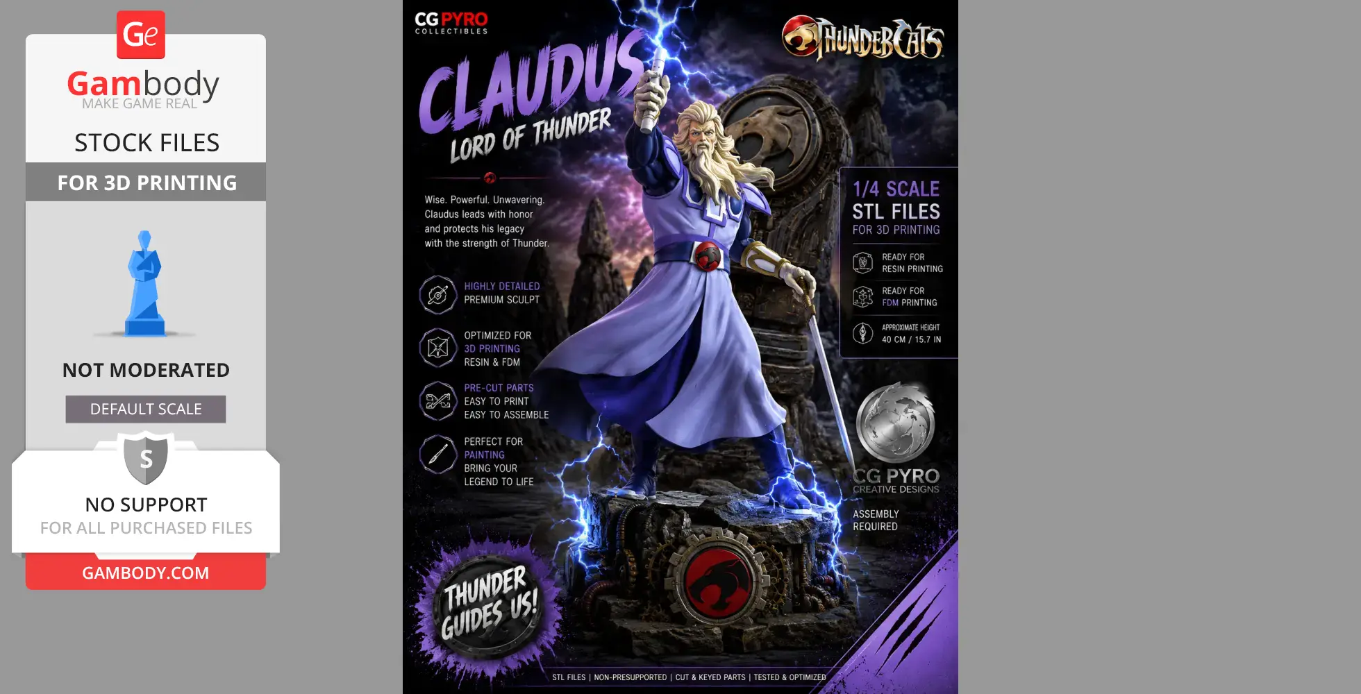 Bearded warrior in blue cloak with sword, standing on rocky base with lightning, Thundercats logo underneath.