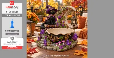 A witchy black cat with a hat and cape sits on books beside a crescent moon and ornate bowl.