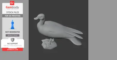 Australian shelduck - Prehistoric Animal STL