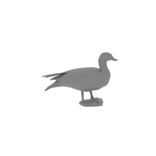 Australian shelduck.stl