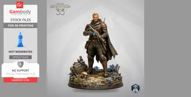 Armored character with a rifle and cape, standing on a detailed base with a skull and blue plants.