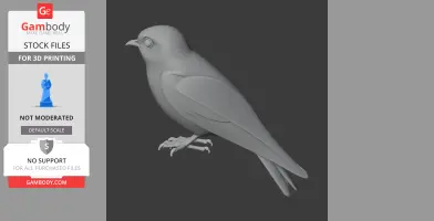 3D model of an Australian swiftlet, depicted in a side view with detailed wings and feet.