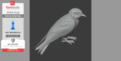 3D model of an Australian swiftlet, a small bird, designed for 3D printing.