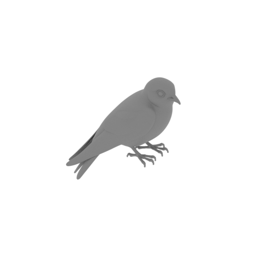 Australian swiftlet.stl