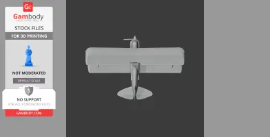Top view of a 3D model of a biplane, designed for 3D printing.