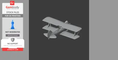 Gray 3D model of a biplane, viewed from above, with detailed wings and tail.