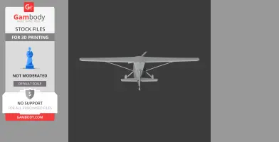 Front view of a 3D model of a small aircraft, suitable for 3D printing.