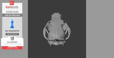 Red Fox Skull - Skull Replica STL