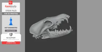 Red Fox Skull - Skull Replica STL
