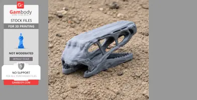 Riparovenator Skull - Skull Replica STL