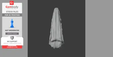 Riparovenator Skull - Skull Replica STL