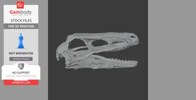 Riparovenator Skull - Skull Replica STL