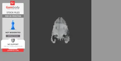Riparovenator Skull - Skull Replica STL