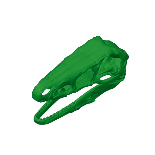 Riparovenator Skull.3mf