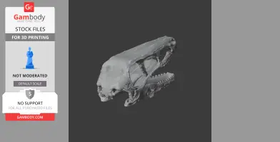 Riparovenator Skull - Skull Replica STL