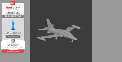 Aermacchi MB-339 - Scale Vehicle STL