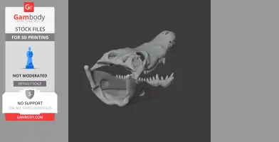 Roccosaurus Skull - Skull Replica STL