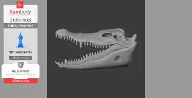 Roccosaurus Skull - Skull Replica STL
