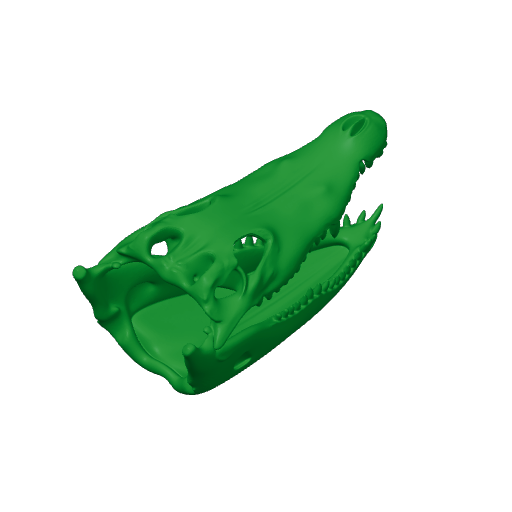 Roccosaurus Skull.3mf