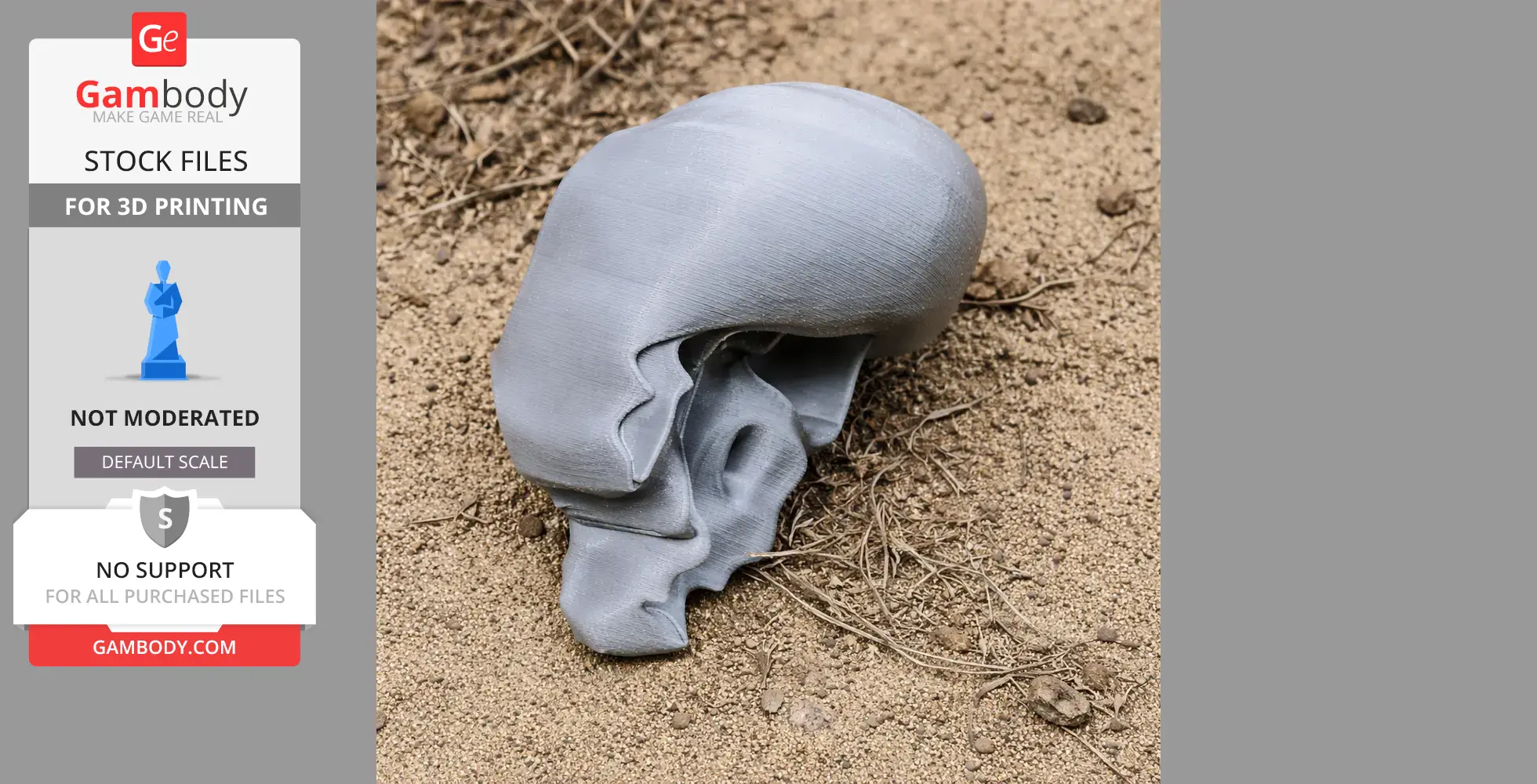 Rock Ringtail Possum Skull - Skull Replica STL