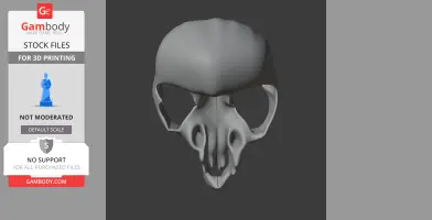 Rock Ringtail Possum Skull - Skull Replica STL