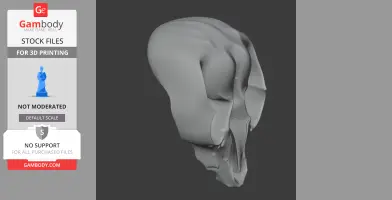 Rock Ringtail Possum Skull - Skull Replica STL