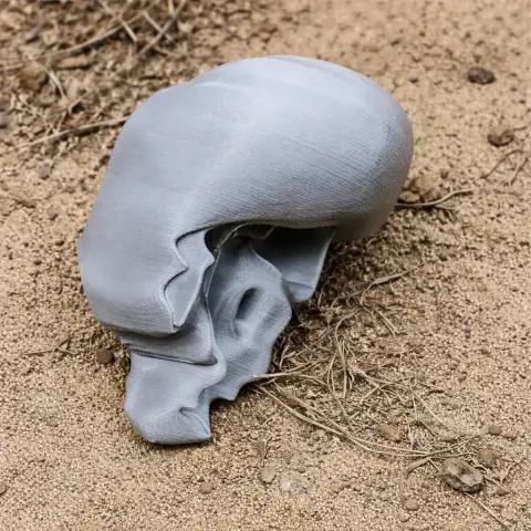 Rock Ringtail Possum Skull - Skull Replica STL