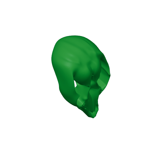 Rock Ringtail Possum Skull.3mf