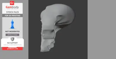 Rock Ringtail Possum Skull - Skull Replica STL