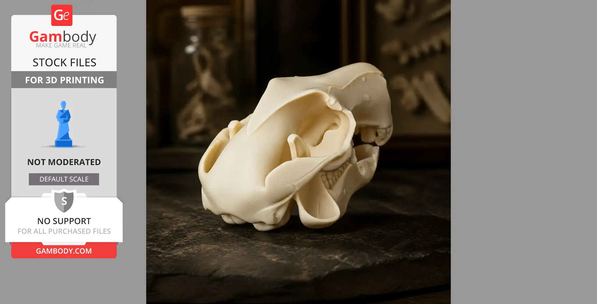 Rock Wallaby Skull - Skull Replica STL