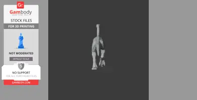 Avalonia (dinosaur) - Prehistoric Animal STL
