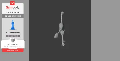 Avimimus - Prehistoric Animal STL